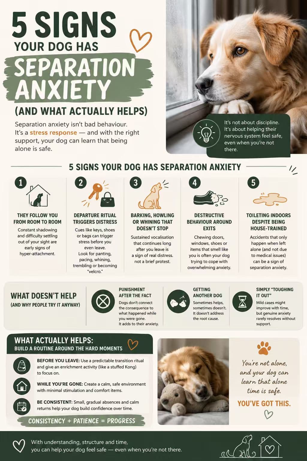 Guide to observing possible separation-related distress in dogs